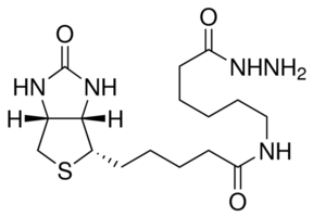 Biotinamidocaproyl Hydrazide Chemical Structure